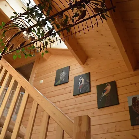Luxe, Rust En Ruimte Bij De Veluwse Vogels In Epe