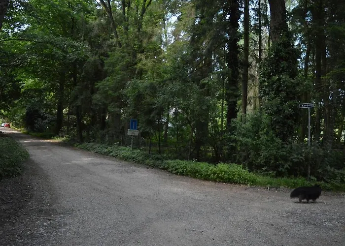 Сasa de vacaciones Luxe, Rust En Ruimte Bij De Veluwse Vogels In