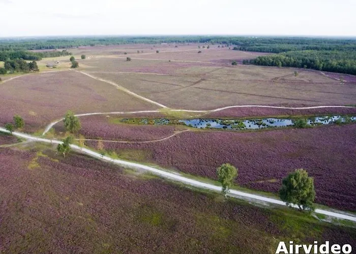 Luxe, Rust En Ruimte Bij De Veluwse Vogels In