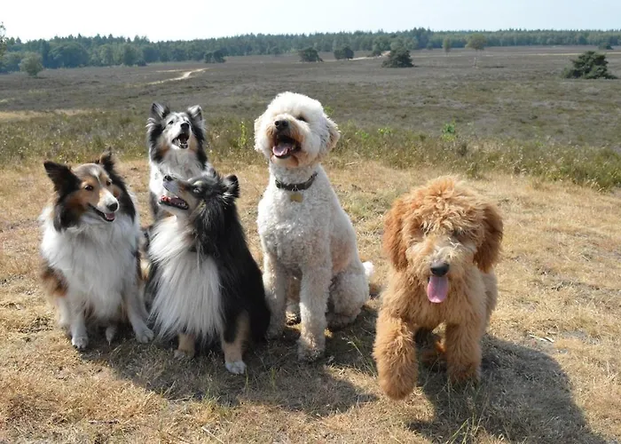 Сasa de vacaciones Luxe, Rust En Ruimte Bij De Veluwse Vogels In Epe