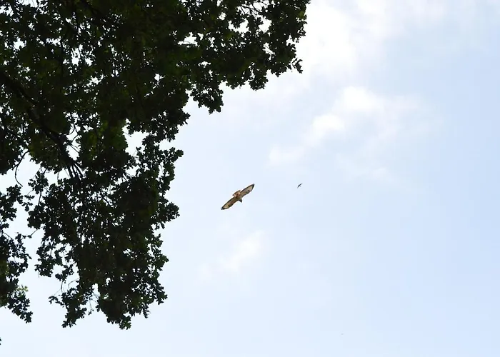 Luxe, Rust En Ruimte Bij De Veluwse Vogels In Сasa de vacaciones *