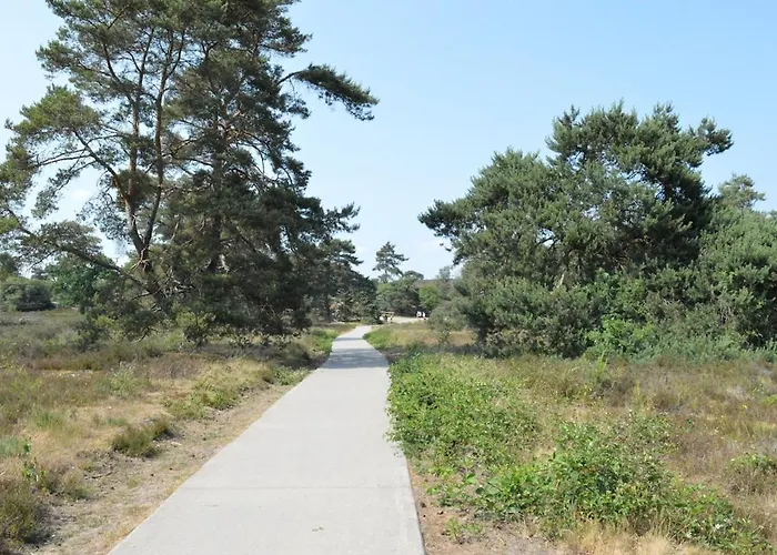 Luxe, Rust En Ruimte Bij De Veluwse Vogels In * Epe