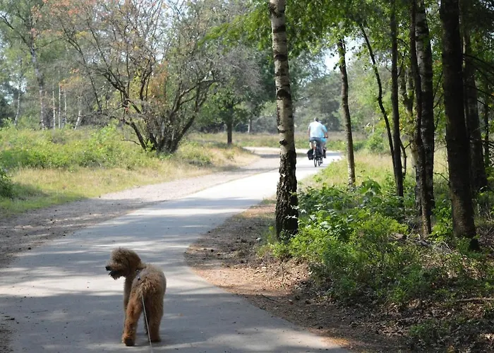 Luxe, Rust En Ruimte Bij De Veluwse Vogels In Epe