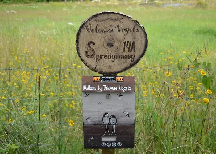 Luxe, Rust En Ruimte Bij De Veluwse Vogels In